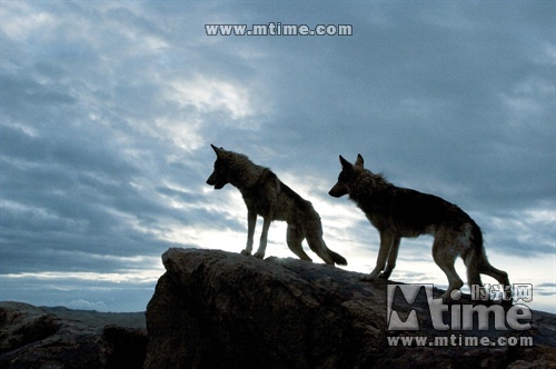 [视频]田壮壮《狼灾记》十分钟加长版片花曝光